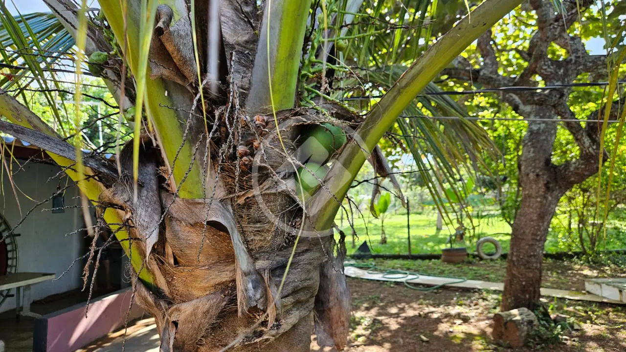 Imagem 3 - Terreno em Condomínio Residencial dos Sonhos, Hidrolândia - GO