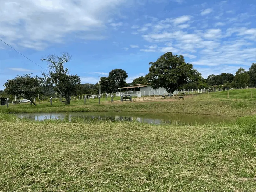 Imagem 3 - Chácara em Zona Rural, Inhumas - GO