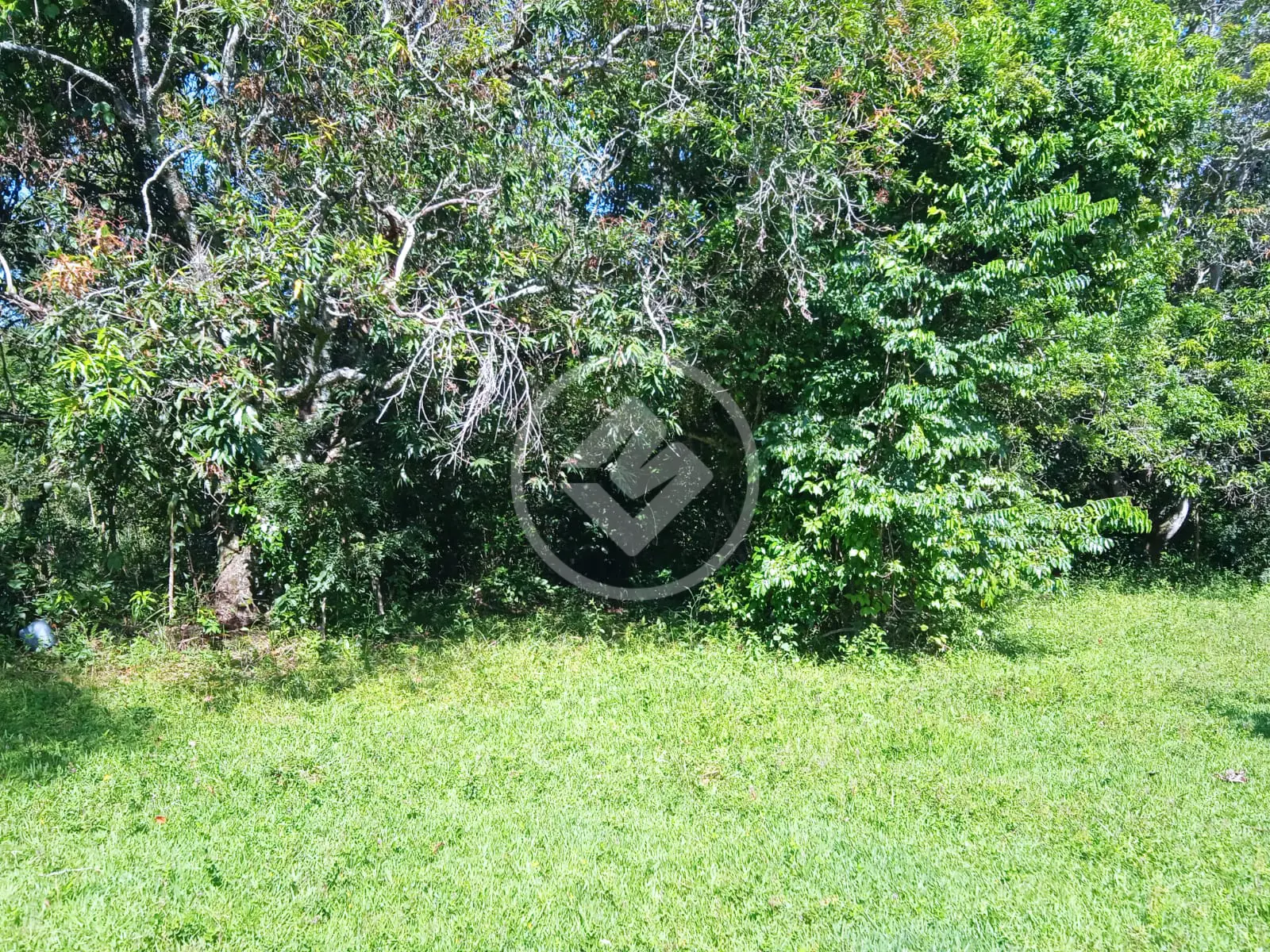 Imagem 3 - Terreno em Estância Vargem Bonita, Senador Canedo - GO