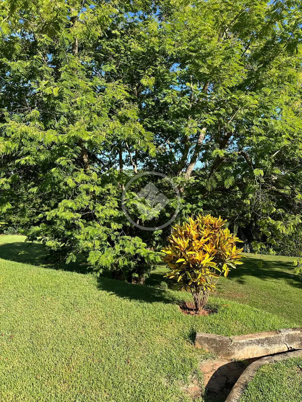Image 17 - Casa Condomínio em Residencial Aldeia do Vale, Goiânia - GO
