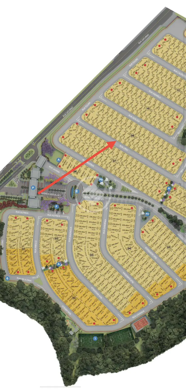 Imagem 2 - Terreno Condomínio em Polo Empresarial de Goiás, Aparecida de Goiânia - GO