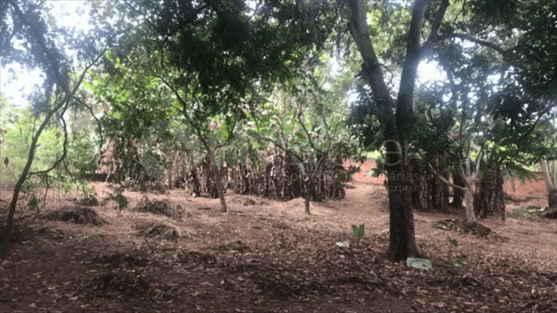 Chácara JARDIM NOVO MUNDO, Goiânia - GO — foto 1