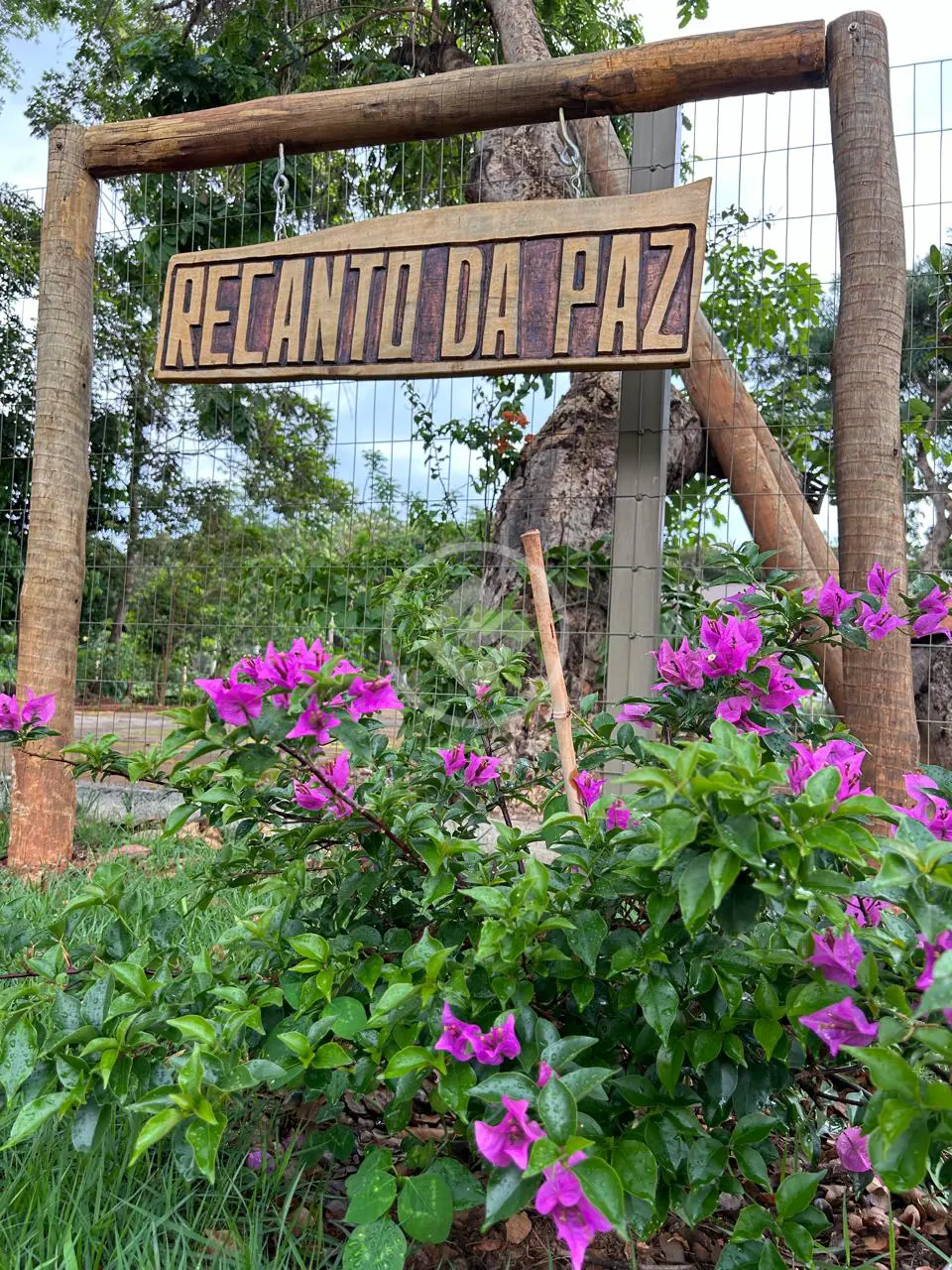 Imagem 1 - Casa Condomínio em Fazenda Recanto Sonhado, Bela Vista de Goiás - GO