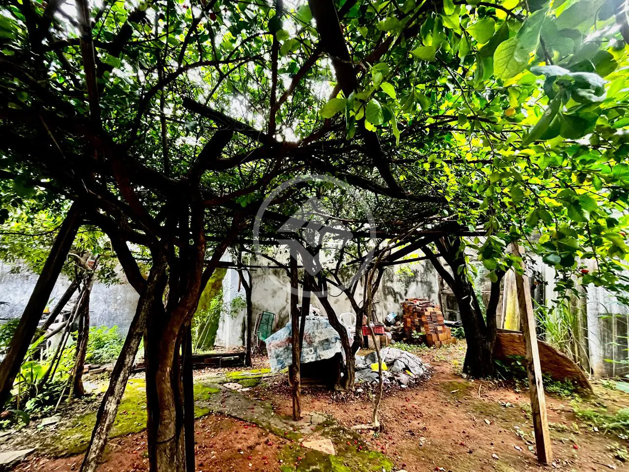 Image 21 - Casa em Jardim América, Goiânia - GO