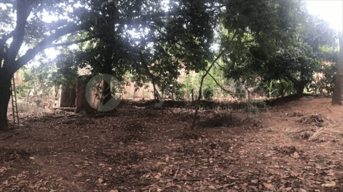 Imagem 6 - Chácara em JARDIM NOVO MUNDO, Goiânia - GO