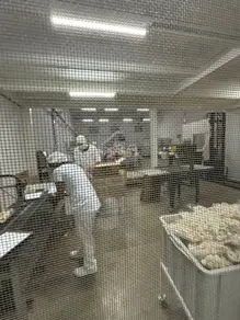 Imagem 5 - Galpão em Residencial Canadá, Goiânia - GO