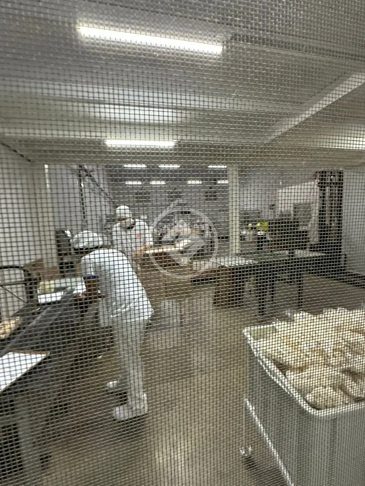 Imagem 5 - Galpão em Residencial Canadá, Goiânia - GO