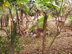 Imagem 2 - Terreno em Sítios Recreio Bandeirantes, Goiânia - GO
