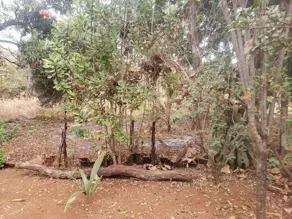 Terreno Sítios Recreio Bandeirantes, Goiânia - GO — foto 1