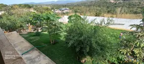 Imagem 3 - Sobrado em Zona Rural, Goiás - GO