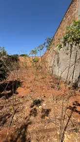 Imagem 5 - Terreno em Jardim Florença, Aparecida de Goiânia - GO