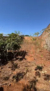Imagem 4 - Terreno em Jardim Florença, Aparecida de Goiânia - GO