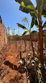 Imagem 3 - Terreno em Jardim Florença, Aparecida de Goiânia - GO