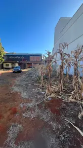 Imagem 3 - Terreno em Jardim Goiás, Goiânia - GO