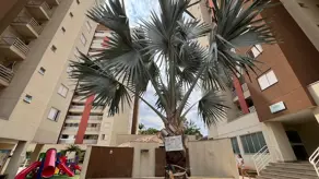 Imagem 2 - Apartamento em Santa Genoveva, Goiânia - GO