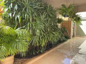 Imagem 5 - Apartamento em Setor Sul, Goiânia - GO