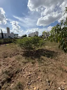 Imagem 5 - Terreno em Vila Rosa, Goiânia - GO