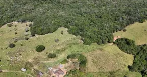 Fazenda , Nova América - GO — foto 1