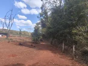 Imagem 6 - Chácara em Centro, Nerópolis - GO