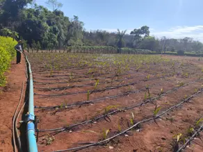 Chácara Centro, Nerópolis - GO — foto 1
