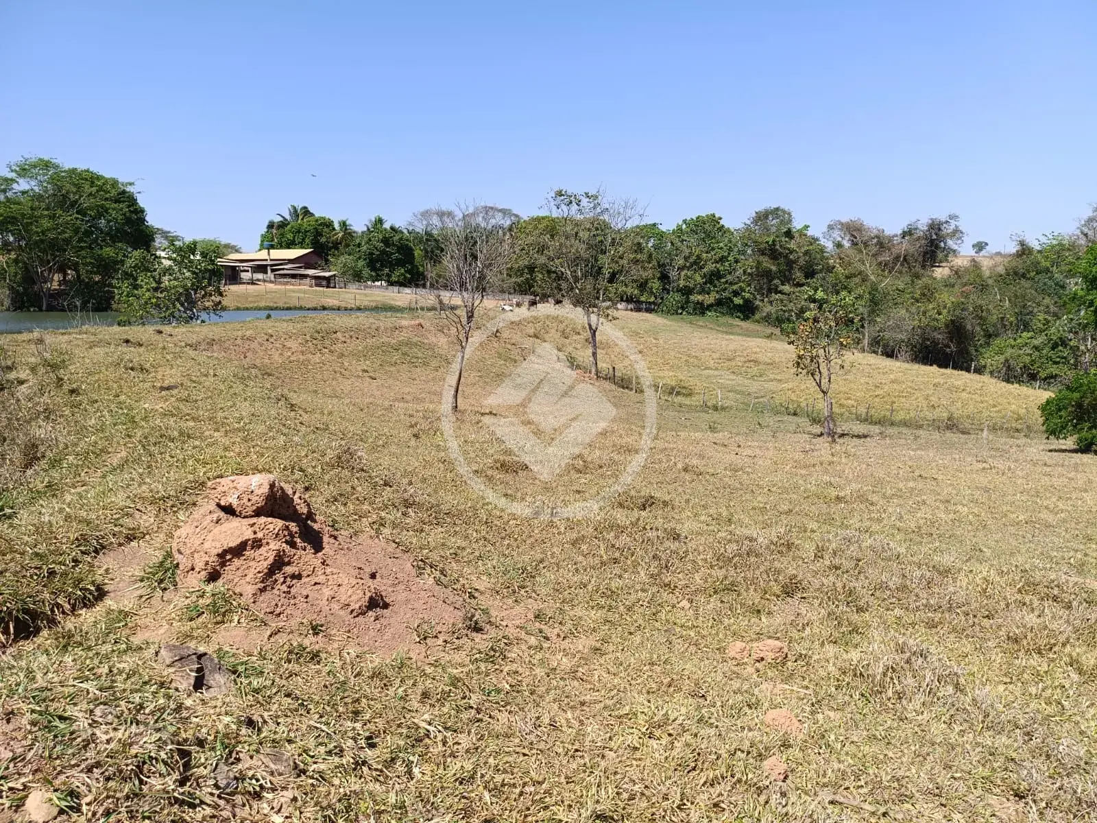 Imagem 1 - Chácara em São Francisco, São Francisco de Goiás - GO