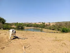 Imagem 4 - Chácara em São Francisco, São Francisco de Goiás - GO