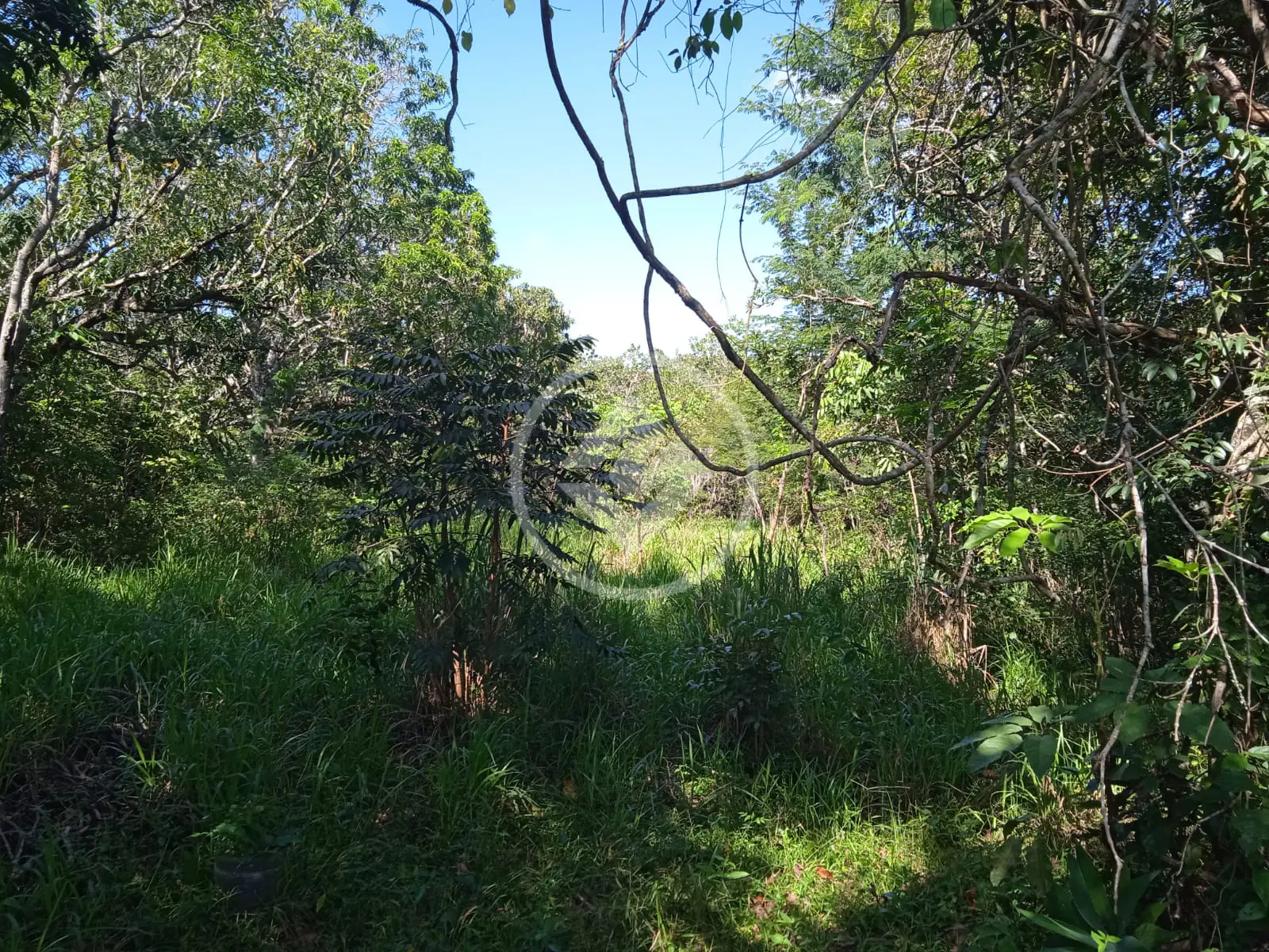 Imagem 2 - Terreno em Estância Vargem Bonita, Senador Canedo - GO