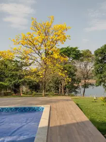 Imagem 6 - Casa em Centro, Caldas Novas - GO