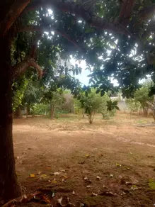 Imagem 4 - Casa em Portal I, Caldas Novas - GO