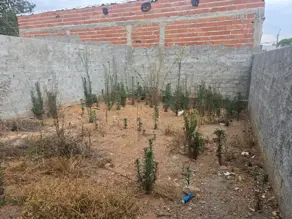 Casa Residencial Caminho do Lago, Caldas Novas - GO — foto 2