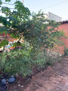 Imagem 4 - Casa em Mansões Águas Quentes, Caldas Novas - GO