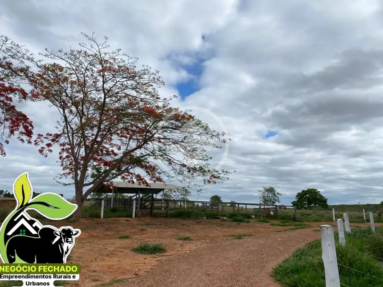 Imagem 1 - Chácara em Centro, Ipameri - GO