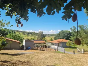 Imagem 6 - Fazenda em Zona Rural, Bonfinópolis - GO