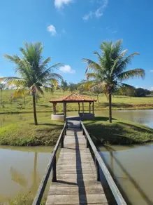 Fazenda Zona Rural, Bonfinópolis - GO — foto 2