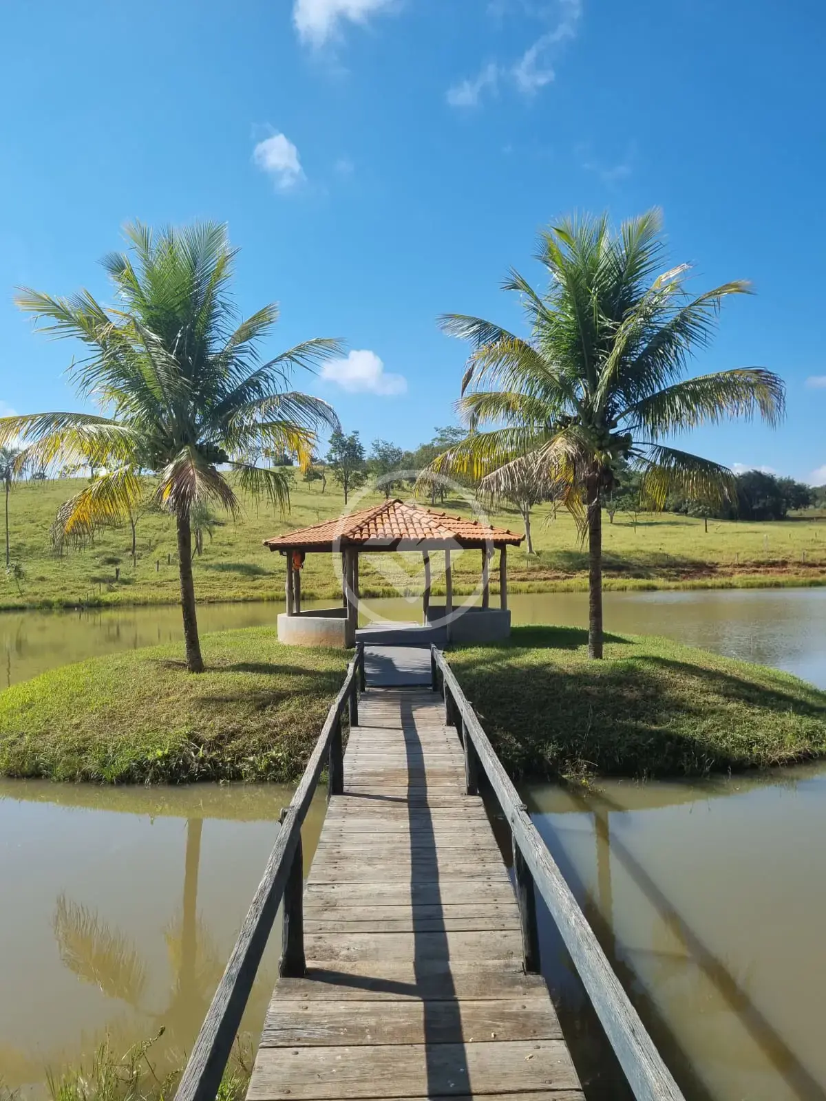 Image 2 - Fazenda em Zona Rural, Bonfinópolis - GO