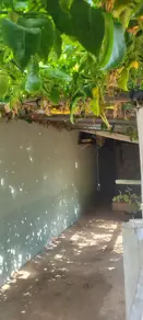 Casa Santa Efigênia, Caldas Novas - GO — foto 1