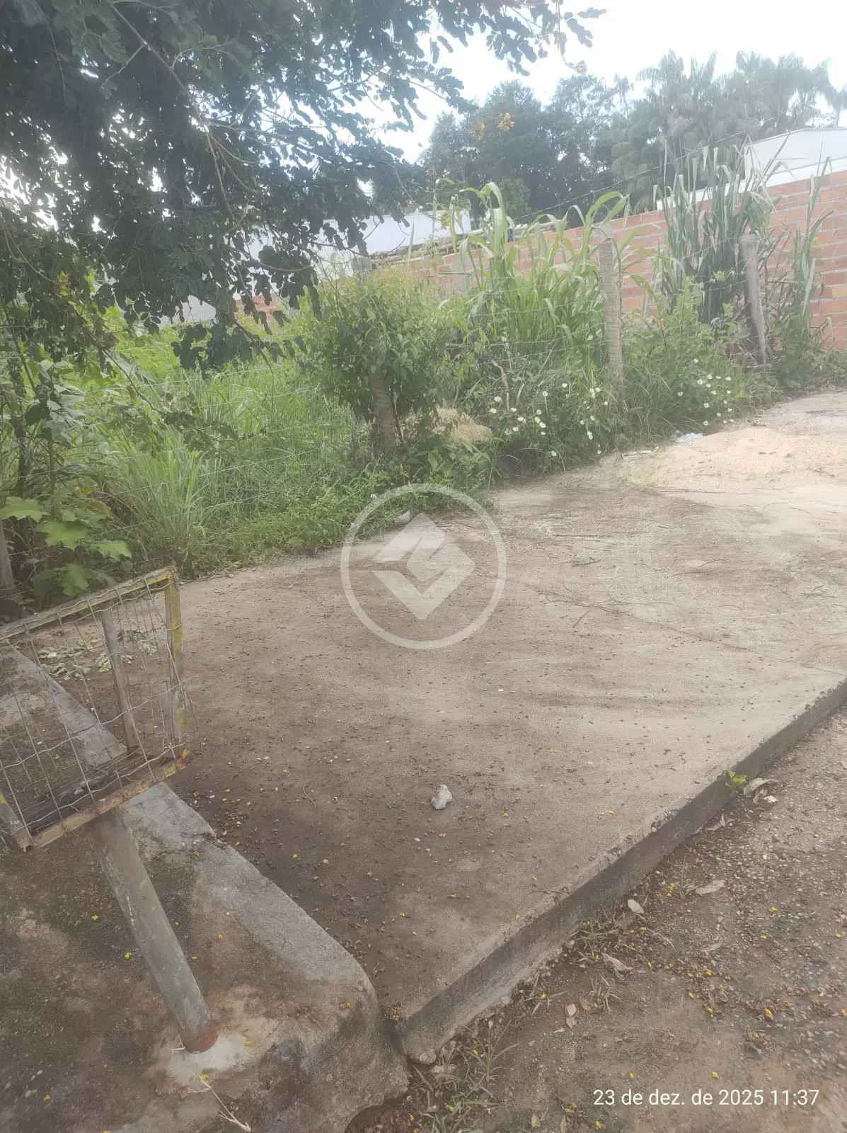 Imagem 3 - Terreno em Estância Itaguaí, Caldas Novas - GO