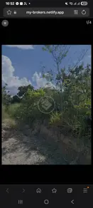 Terreno Santa Genoveva, Goiânia - GO — foto 2