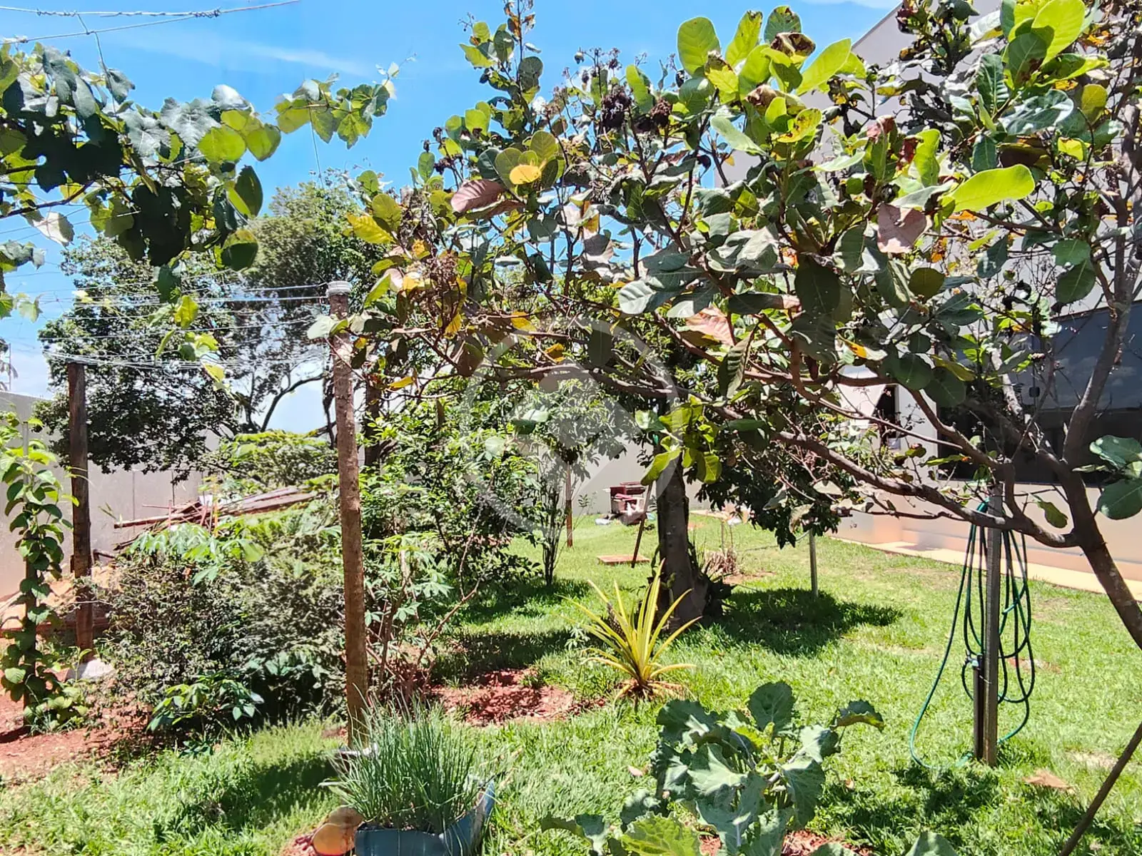 Image 17 - Sobrado em Caldas do Oeste, Caldas Novas - GO