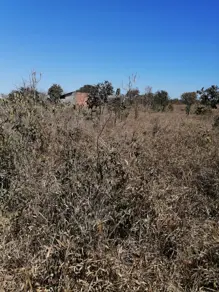 Terreno Centro, Caldas Novas - GO — foto 1