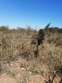 Terreno Centro, Caldas Novas - GO — foto 2