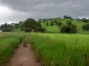 Imagem 5 - Fazenda em Zona Rural, Cezarina - GO