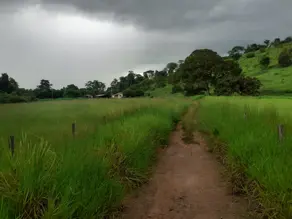 Imagem 3 - Fazenda em Zona Rural, Cezarina - GO