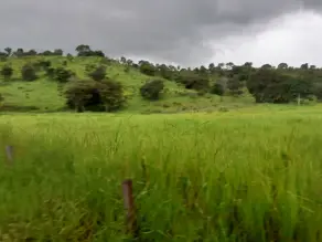 Imagem 2 - Fazenda em Zona Rural, Cezarina - GO