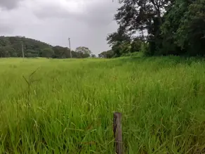 Fazenda Zona Rural, Cezarina - GO — foto 1