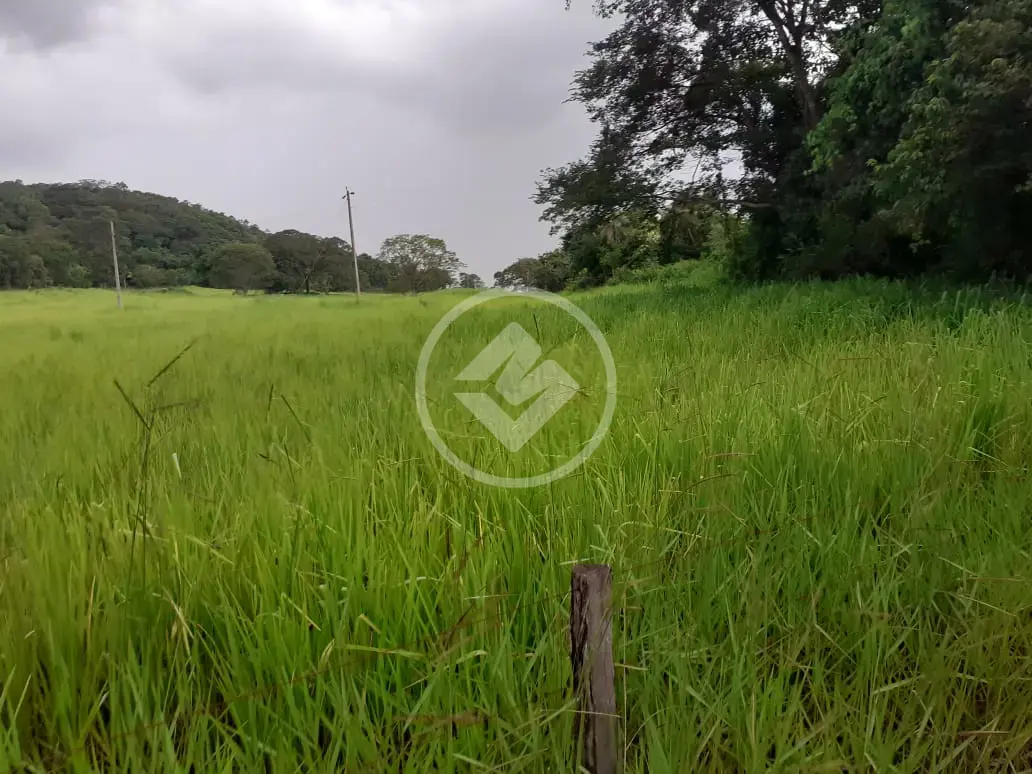 Imagem 1 - Fazenda em Zona Rural, Cezarina - GO