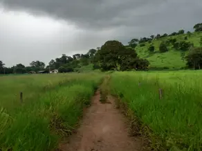 Fazenda Zona Rural, Cezarina - GO — foto 2