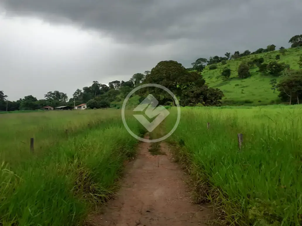 Image 2 - Fazenda em Zona Rural, Cezarina - GO
