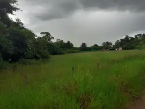 Imagem 6 - Fazenda em Zona Rural, Cezarina - GO