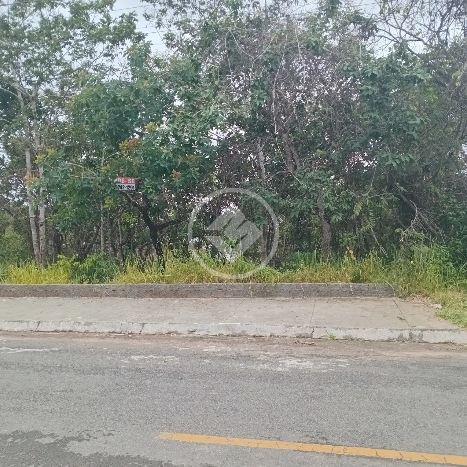 Imagem 3 - Terreno em Centro, Caldas Novas - GO